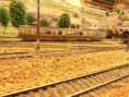 /album/galerie-de-photos-tramway/p1250022-jpg/